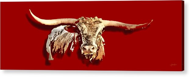 Texas Acrylic Print featuring the photograph Foghorn Leghorn by Amanda Smith