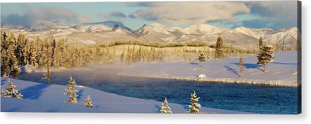 Scenics Acrylic Print featuring the photograph Madison River Near West Yellowstone by Dmathies
