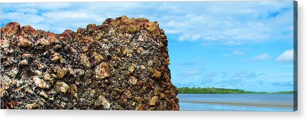 Bwach View Acrylic Print featuring the photograph Rocks and Beach by Joan Stratton