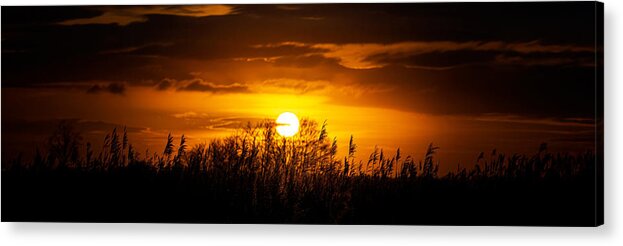 Sunset Acrylic Print featuring the photograph Setting Sun At Newport Wetlands by Lee Kershaw