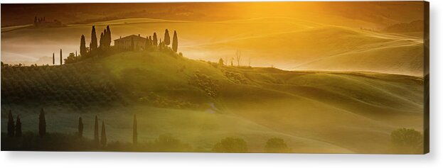 Italy Acrylic Print featuring the photograph Tuscany In Gold by Evgeni Dinev
