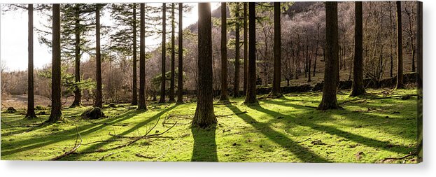Panorama Acrylic Print featuring the photograph Lake District Woodland by Sonny Ryse