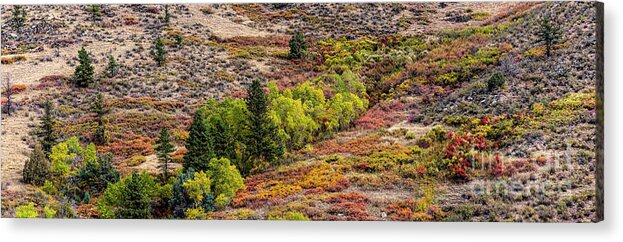 Jon Burch Acrylic Print featuring the photograph Laramie River Fall Colors by Jon Burch Photography