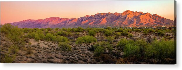 Sonoran Desert Acrylic Print featuring the photograph Oro Valley Vista P24222 by Mark Myhaver