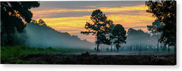 Sunrise Acrylic Print featuring the photograph Pocosin Dawn #5981 by Dan Beauvais