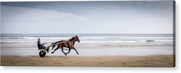Pony Acrylic Print featuring the photograph Pony and Trap by Nigel R Bell