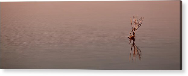 Water Acrylic Print featuring the photograph Reflections by Brad Barton