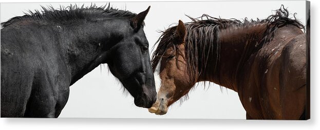 Panorama Acrylic Print featuring the photograph Rugged and Wild by Mary Hone