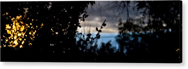  Acrylic Print featuring the photograph Abstract window view by Atom Crawford