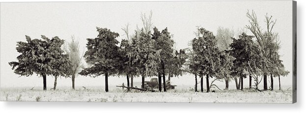 Winter Acrylic Print featuring the photograph In The Tree Line by Don Durfee