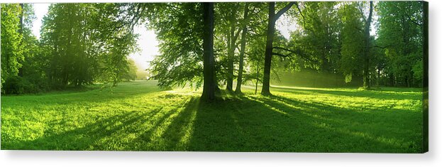 Landscape Park Acrylic Print featuring the photograph Green sunrise by Sun Travels