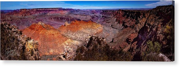 Grand Canyon Acrylic Print featuring the photograph Grand Canyon by Darcy Dietrich