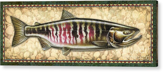 Chum Salmon Spawning Panel Acrylic Print by JQ Licensing - Fine