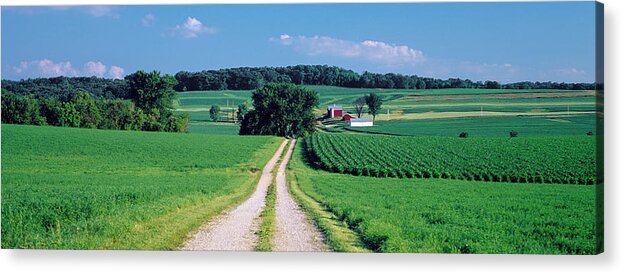 Photography Acrylic Print featuring the photograph Dirt Road Passing Through A Farm by Panoramic Images