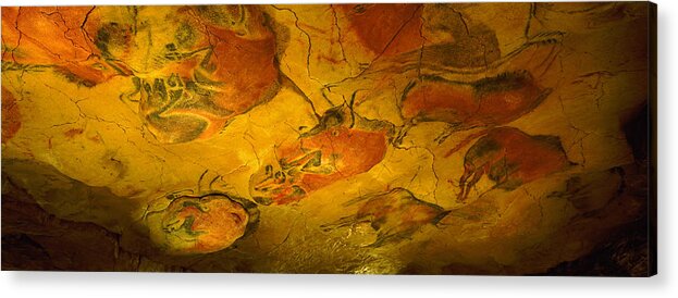 Photography Acrylic Print featuring the photograph Paleolithic Paintings, Altamira Cave by Panoramic Images