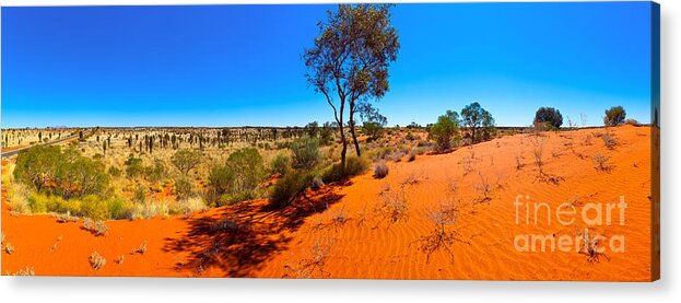 The Road To Uluru Outback Landscape Central Australia Australian Gum Tree Desert Arid Sand Dunes  Acrylic Print featuring the photograph The Road to Uluru by Bill Robinson