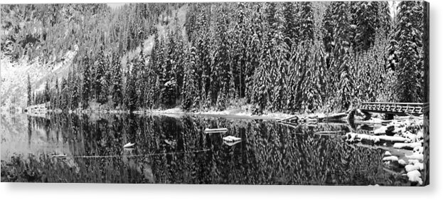 Mount Acrylic Print featuring the photograph Panorama of Snow Covered Pines by Twenty Two North Photography