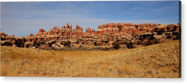Canyonlands Acrylic Print featuring the photograph Needles at Canyonlands #1 by Tranquil Light Photography