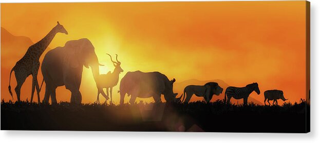 African Wildlife Sunset Silhouette Banner Acrylic Print by Good Focused -  Pixels