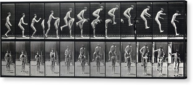 Electro-photographic Investigation Acrylic Print featuring the photograph Animal Locomotion Leap Frog 1887 by Science Source