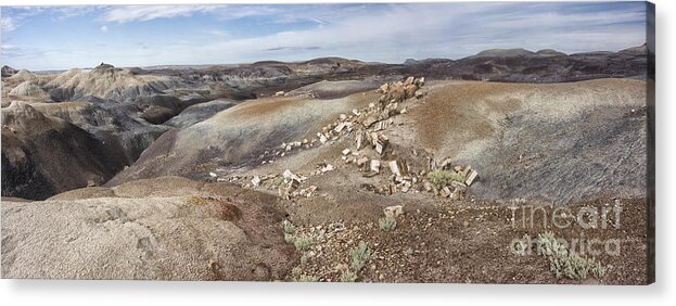 Petrified Forest Acrylic Print featuring the photograph Badlands in Petrified Forest by Melany Sarafis