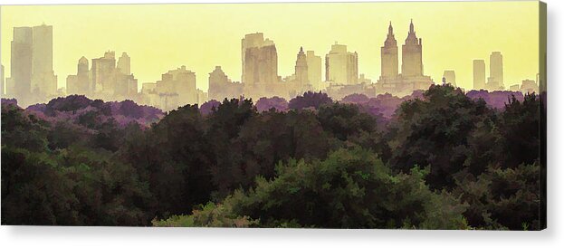New York City Acrylic Print featuring the photograph Central Park Skyline by David Thompsen