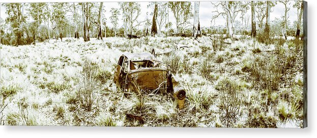 Panorama Acrylic Print featuring the photograph Fine art Tasmania bushland by Jorgo Photography