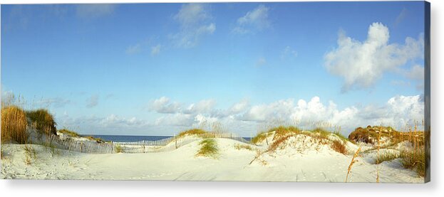 Florida Acrylic Print featuring the photograph Saint Josephs Florida State Park Sand dunes and Sea Oats by John Harmon