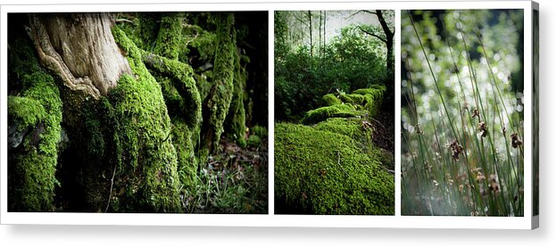 Nant Gwynant Acrylic Print featuring the photograph Somewhere Only We Go by Dorit Fuhg
