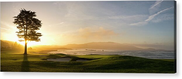 Photography Acrylic Print featuring the photograph 18th Hole With Iconic Cypress Tree #2 by Panoramic Images