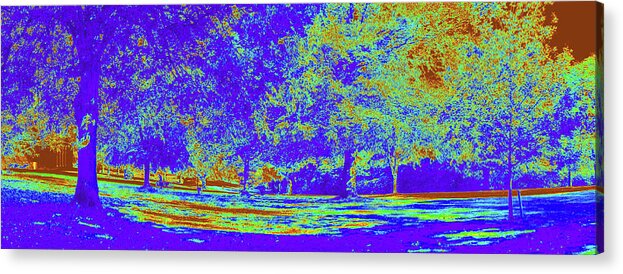 Manchester Acrylic Print featuring the photograph Psychedelic Toile Park by Tikvah's Hope