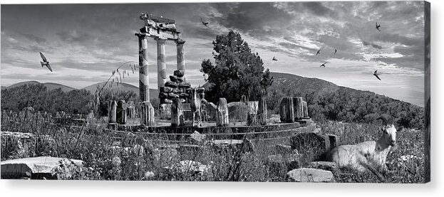 Delphi Tholos Acrylic Print featuring the photograph Sacred Stone - Black and white photo of Delphi Tholos by Paul E Williams