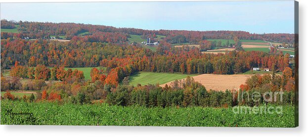 Landscape Acrylic Print featuring the photograph Central New York in the Fall by Mariarosa Rockefeller