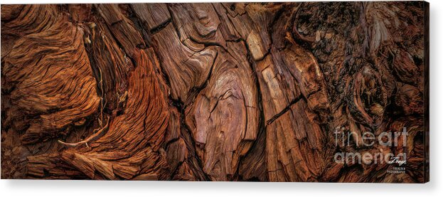 Nature Acrylic Print featuring the photograph Woodland Abstract by Trey Foerster