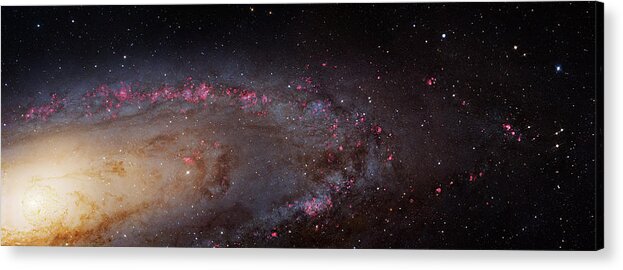 Andromeda Galaxy Acrylic Print featuring the photograph Andromeda Galaxy by Nasa/esa/j. Dalcanton (university Of Washington)/phat Team/robert Gendler/science Photo Library