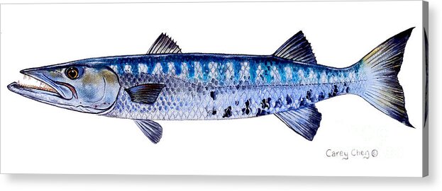Barracuda Acrylic Print featuring the painting Barracuda by Carey Chen