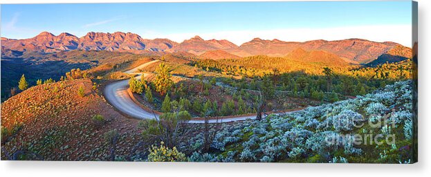 Bunyeroo Valley Flinders Ranges South Australia Australian Landscape Landscapes Pano Panorama Outback Early Morning Wilpena Pound Acrylic Print featuring the photograph Bunyeroo Valley by Bill Robinson