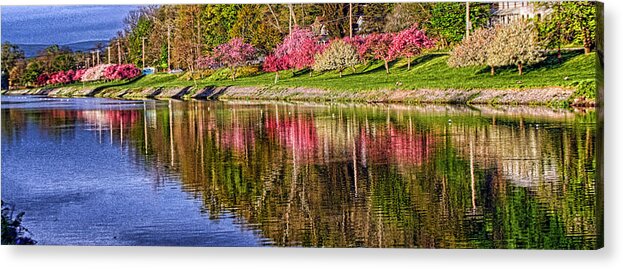 Inlet Acrylic Print featuring the photograph Cayuga Inlet in Spring by Monroe Payne