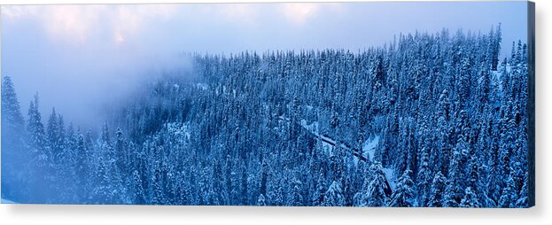 Photography Acrylic Print featuring the photograph High Angle View Of A Forest, Mt Baker by Panoramic Images