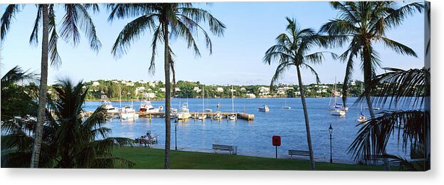 Photography Acrylic Print featuring the photograph Palm Trees On The Coast, Barrs Bay by Panoramic Images