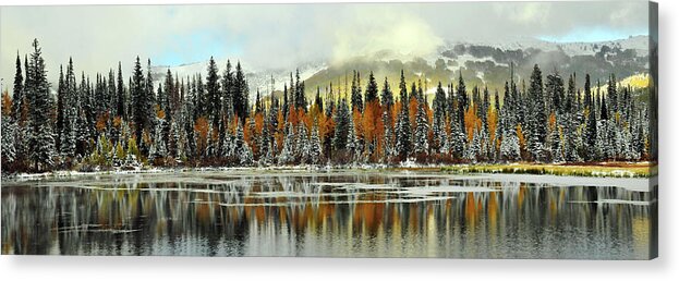 Scenics Acrylic Print featuring the photograph Silver Lake Pine And Aspen Trees by Utah-based Photographer Ryan Houston