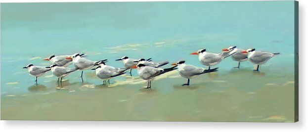 Ponce Inlet Acrylic Print featuring the digital art Tern Tern Tern by Deborah Boyd