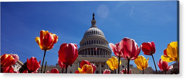 Photography Acrylic Print featuring the photograph Tulips With A Government Building by Panoramic Images