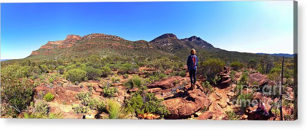Wilpena Pound Arkaroo Rock Hike Hiking Flinders Ranges South Australia Australian Landscape Landscapes Outback Acrylic Print featuring the photograph Wilpena Pound #4 by Bill Robinson