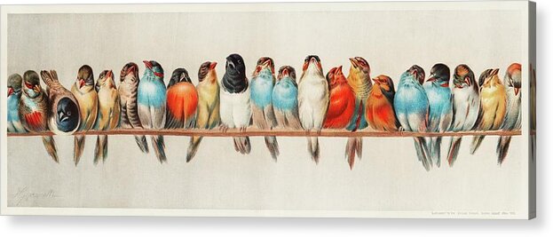 Wooden Acrylic Print featuring the painting A Perch of Birds, 1880 by Vincent Monozlay