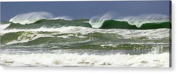 Charging Forward Acrylic Print featuring the photograph Charging Forward by Michelle Constantine