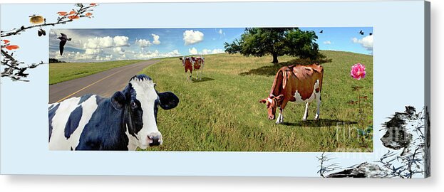 Cows. Field Acrylic Print featuring the photograph Cows in Field, Ver 4 by Larry Mulvehill