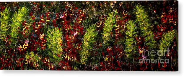 Ferns And Berries Acrylic Print featuring the painting Ferns And Berries by Tim Townsend