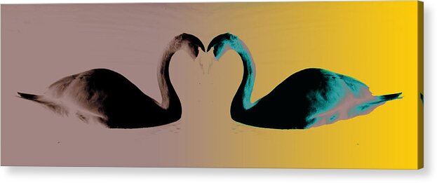 Photo Comp Acrylic Print featuring the photograph The Color of Love by Jason Williams