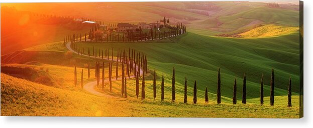 Tuscany; Villa; Green; Hills; Italy; Belvedere; Val D'orcia; Cypress; Trees; Beautiful; Countryside; Sunset; Rolling; Italia; Toscana; Rob Davies; Robert Davies; Landscape; Gold; Sun; Flare; Lens Flare; Panorama; Gladiator; Location; S Shape; Road; Classic Acrylic Print featuring the photograph Golden Tuscany II by Rob Davies